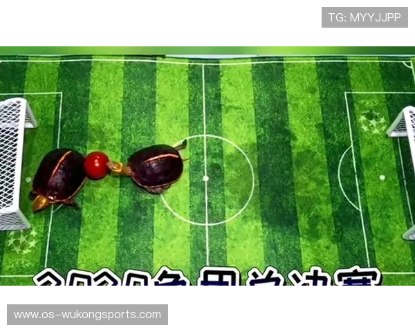 加时赛规则全解析：什么时候开始加时点球又如何判定？