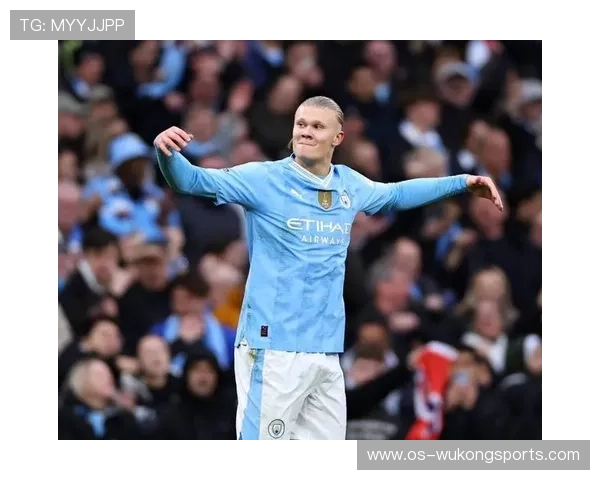 哈兰德数据含金量争议：效率与体系依赖如何界定