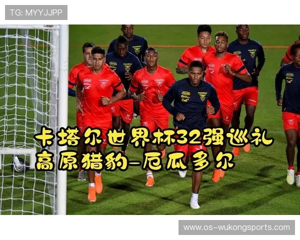 厄瓜多尔2026世界杯阵容预测:高原主场优势能否助力小组突围 厄瓜多尔2026世界杯阵容预测:高原主场优势能否助力小组突围